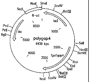 Une figure unique qui représente un dessin illustrant l'invention.